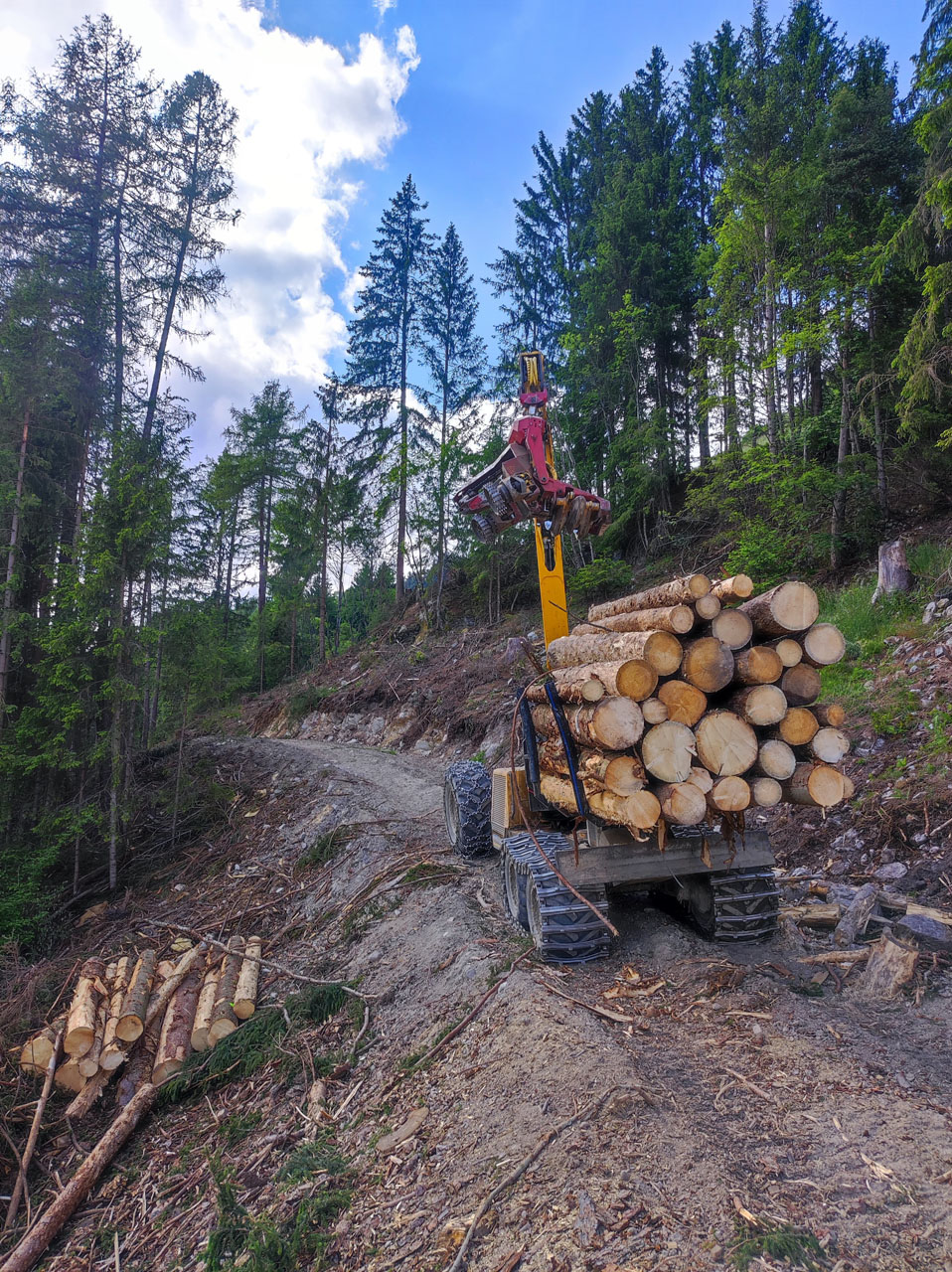 brunner-leiter-leistungen-forsttechnik-2