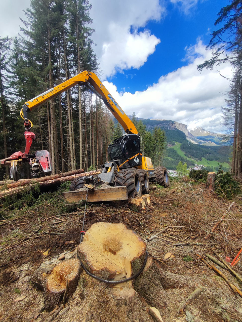 brunner-leiter-leistungen-forsttechnik-5